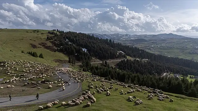 Sektöre nefes aldırması bekleniyor