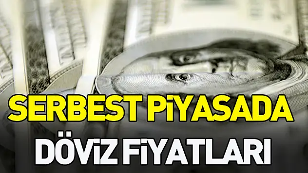 Serbest piyasada döviz fiyatları