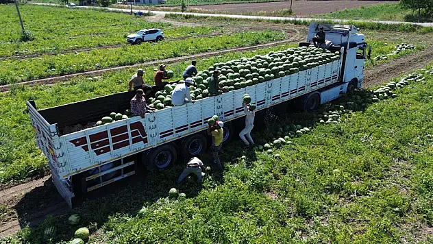 Serinleten Lezzetin Kutlama Günü Geldi!