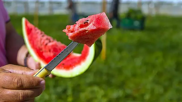 Serinlik Arayanlara: Mükemmel Bir Karpuz Nasıl Seçilir?