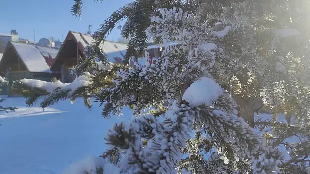 Sibirya Soğukları Ardahan'da Hayatı Dondurdu