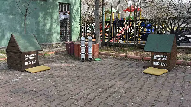 'Sıcak havalar hayvanları da olumsuz etkiliyor'