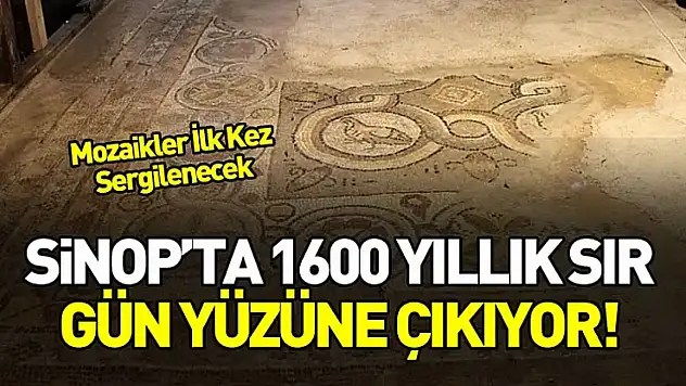 Sinop'ta 1600 Yıllık Mozaikler Yeni Ziyaretçi Merkezinde Sergilenecek
