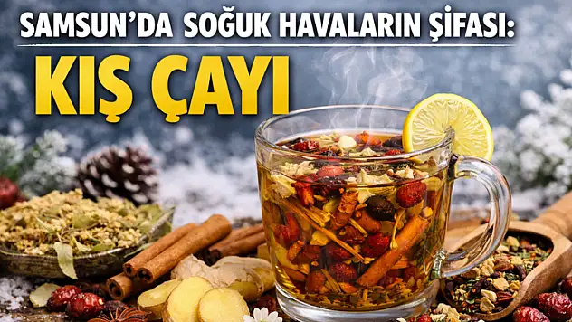Soğuk havaların şifası kış çayı