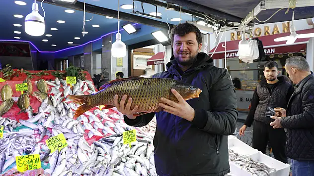 Soğuk havayla birlikte balık en lezzetli döneminde