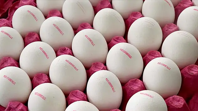 'Son tüketim tarihi' ibaresi, 'tavsiye edilen tüketim tarihi' olarak değiştirildi