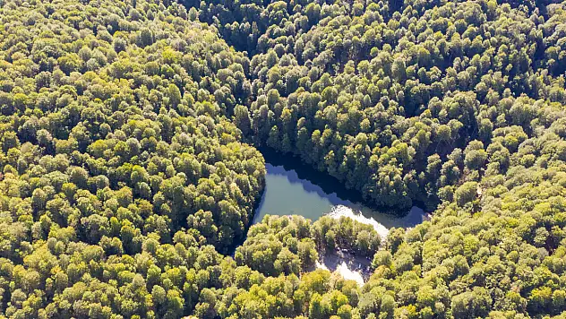 Sonbaharın renk cümbüşü
