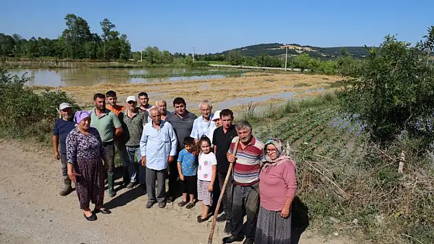 Su kanalı taştı, mahsuller sular altında