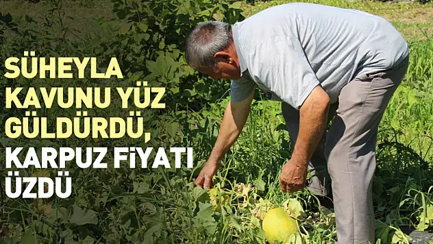 Süheyla Kavunu Yüz Güldürdü, Karpuz Fiyatı Üzdü