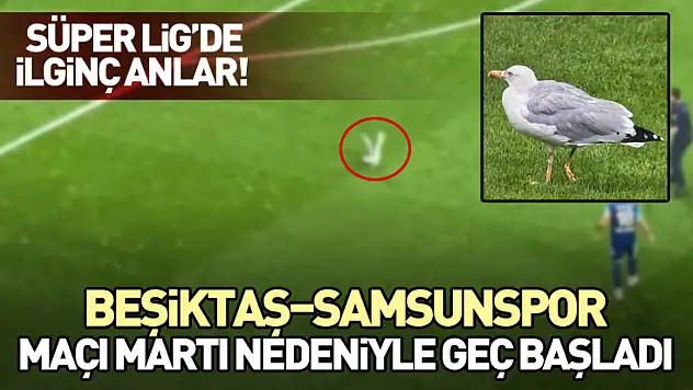 Süper Lig'de İlginç Anlar! Beşiktaş–Samsunspor Maçı Martı Nedeniyle Geç Başladı