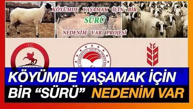 'Sürü'süne bereket!