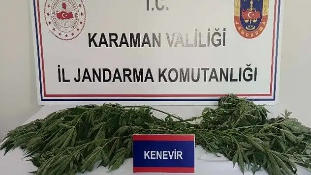 Tarihi eser ve kenevir ele geçirildi