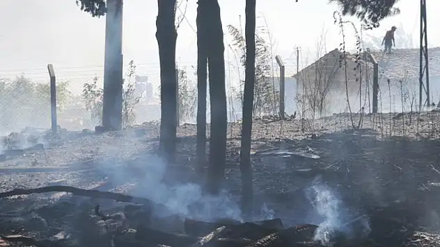 Tarım arazilerinde çıkan yangın kontrol altında