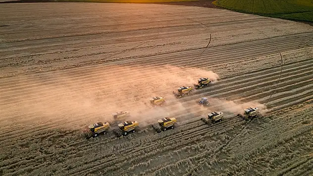 Tarım ÜFE yüzde 0,23 arttı