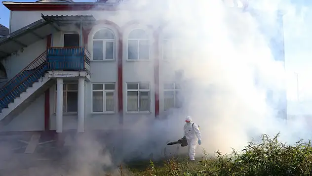 Tarım Zararlısına Karşı Çarşamba'da Mücadele Sürüyor