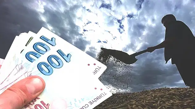 Tarımda destek artıyor