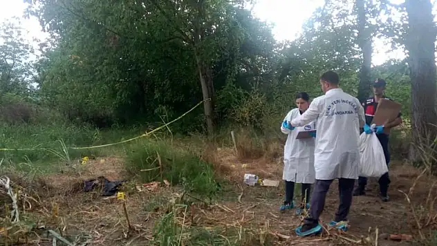 Tarlada bulunanlar jandarmayı harekete geçirdi