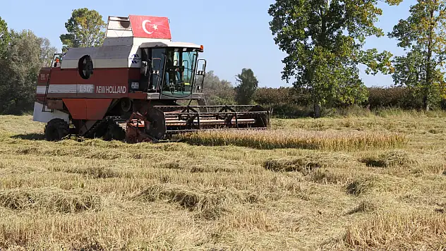 Tarlalarda biçerdöver sesleri yankılanıyor
