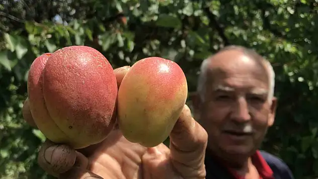 Tazesi 100 kurusu bin lira