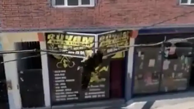 Tele takılan kuşu itfaiye kurtardı