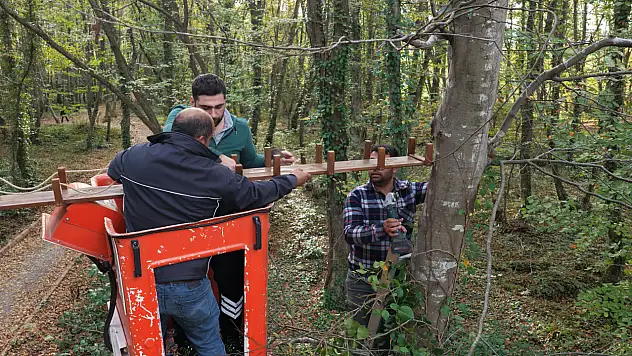 Terme Kent Ormanı'na Sincap Köprüleri Kuruldu