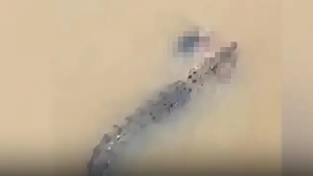 Timsah nehirde yıkanan kadını ölürdü