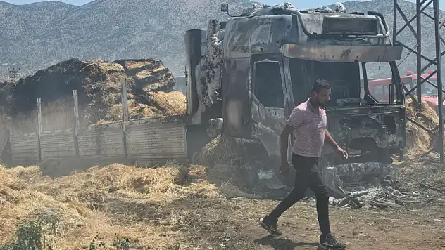 Tır çıkan yangında kül oldu