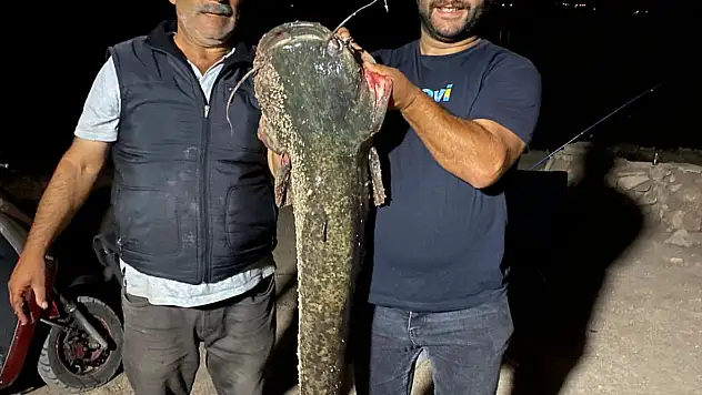 Tokat'ta 153 santimetre uzunluğunda yayın balığı avlandı