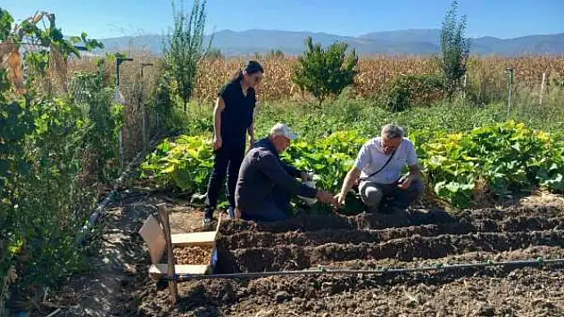 Tokat'ta salep üretimine başlandı