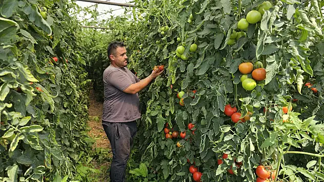 Toprak sevgisi yüzünden baba mesleğini bıraktı