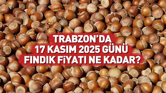 Trabzon'da 17 Kasım Fındık Fiyatları Ne Durumda? Yukarı Yönlü Başlangıç!