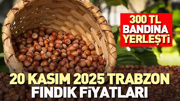 Trabzon'da fındık fiyatları 300 TL bandına yerleşti
