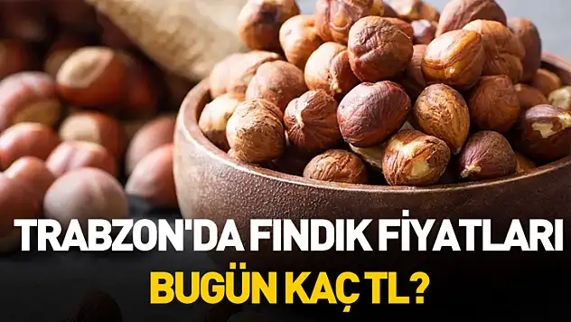 Trabzon'da Fındık Fiyatları Bugün Kaç TL? (12 Ocak 2026)