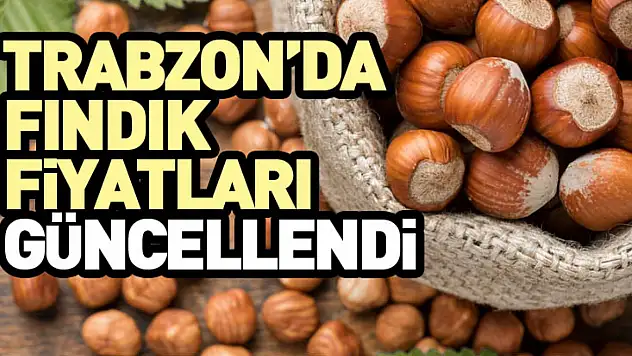 Trabzon'da Fındık Fiyatları Güncellendi