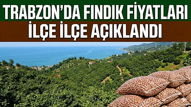 Trabzon'da Fındık Fiyatları İlçe İlçe Açıklandı