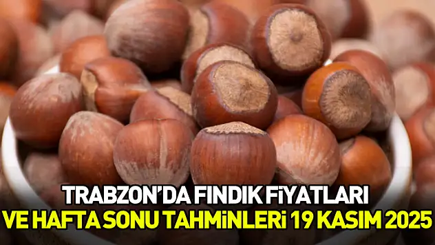 Trabzon'da Fındık Fiyatları ve Hafta Sonu Tahminleri | 19 Kasım 2025