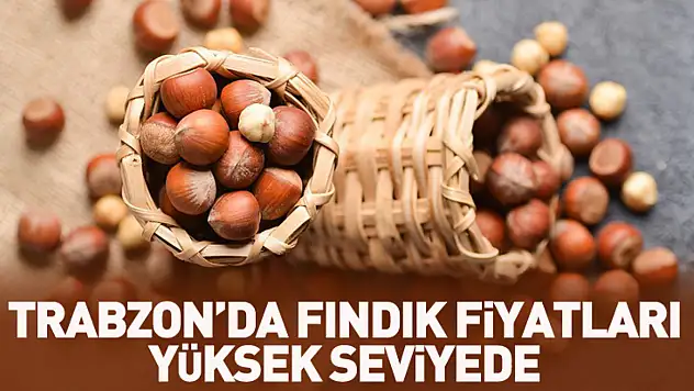 Trabzon'da Fındık Fiyatları Yüksek Seviyede