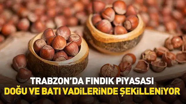 Trabzon'da Fındık Piyasası Doğu ve Batı Vadilerinde Şekilleniyor