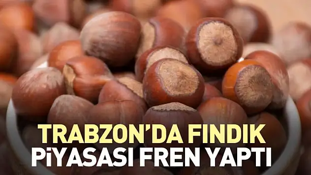 27 Ocak 2026 Trabzon'da Fındık Fiyatı | Trabzon'da Fındık Piyasası Fren Yaptı