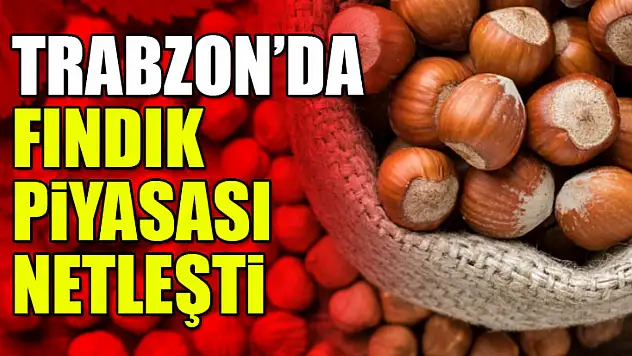 Trabzon'da Fındık Piyasası Netleşti