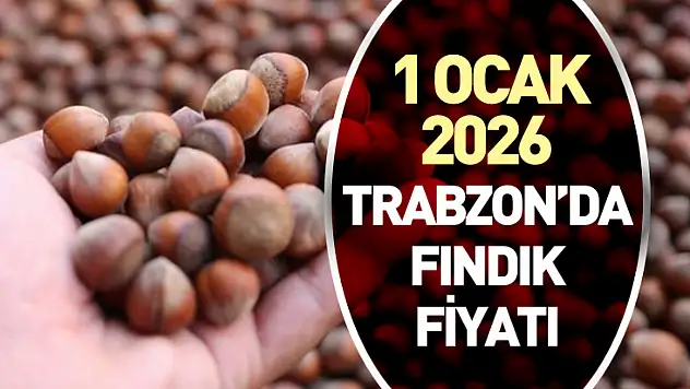 Trabzon'da Fındık Piyasası Sakin Ama Dirençli – 1 Ocak 2026 Trabzon'da Fındık Fiyatı