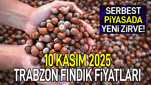 Trabzon Fındık Fiyatları 10 Kasım 2025: Serbest Piyasada Yeni Zirve!