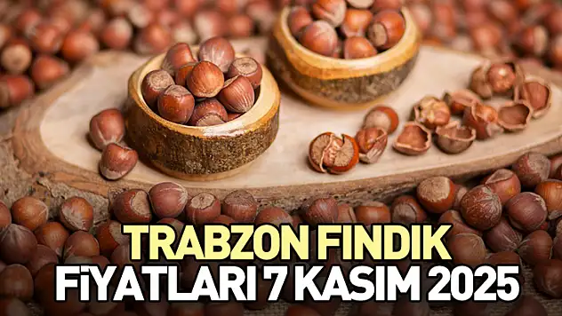 Trabzon Fındık Fiyatları 7 Kasım 2025