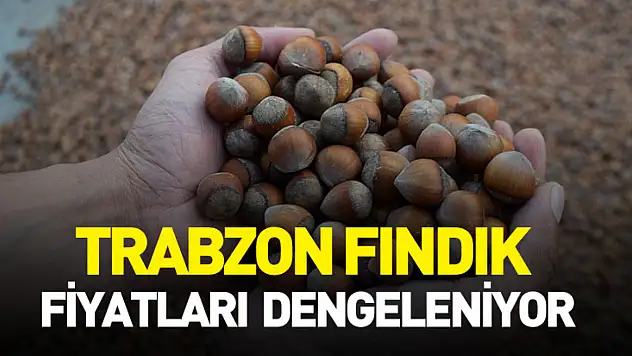 Trabzon Fındık Fiyatları  Dengeleniyor