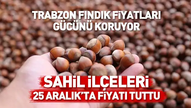 Trabzon Fındık Fiyatları Gücünü Koruyor | Sahil İlçeleri 25 Aralık'ta Fiyatı Tuttu