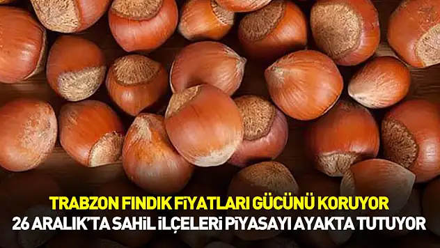 Trabzon Fındık Fiyatları Gücünü Koruyor | 26 Aralık'ta Sahil İlçeleri Piyasayı Ayakta Tutuyor