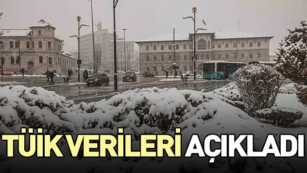 TÜİK Verileri Açıkladı