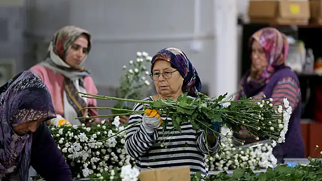 Türk Çiçekleri 80 Ülkeye Açılıyor