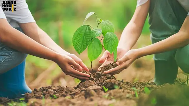 Türkiye 11 Kasım'da Yeşeriyor: Milli Ağaçlandırma Günü Kutlanıyor