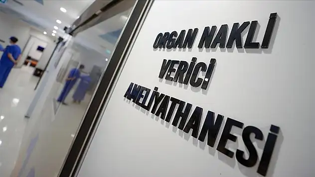 Türkiye, böbrekte ilk, karaciğerde ikinci sırada